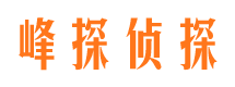 安化市私人调查